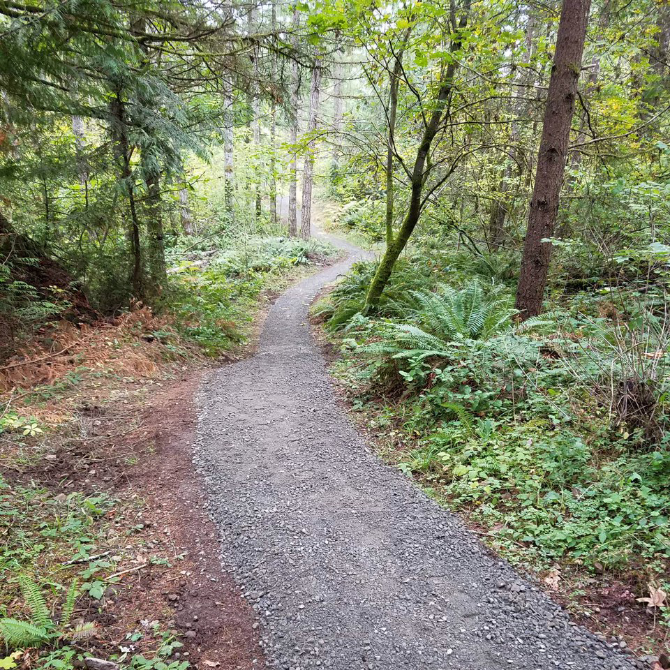 Neat gravel trail through the woods