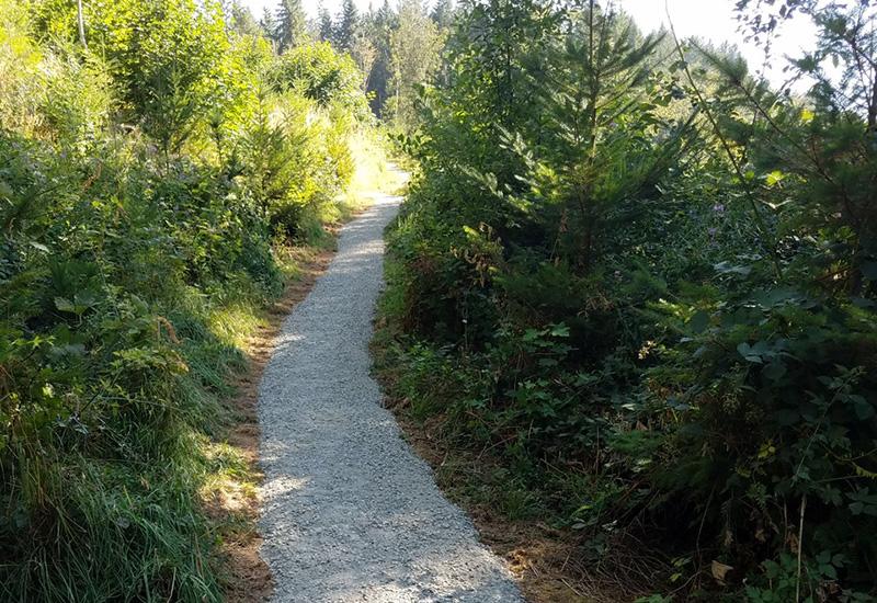 Neat gravel trail through the brush leading to sunlight