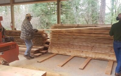 Volunteers Mill Cedar Logs