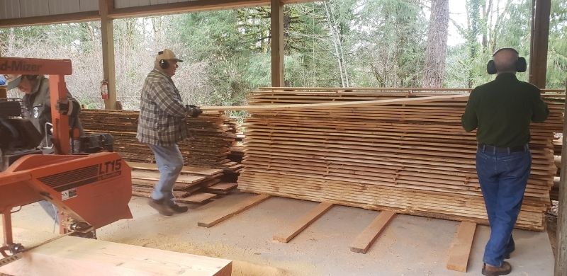 volunteers mill cedar logs at Hopkins Demonstration Forest