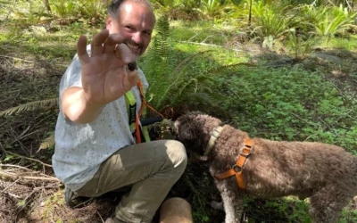 Truffle Hunting Experience 2026