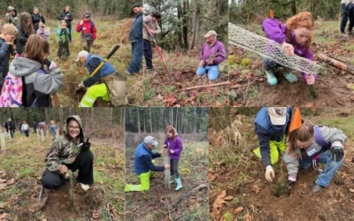 It’s Tree Planting Time!