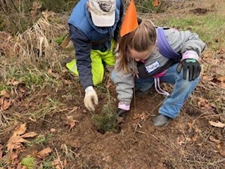 pictures of elementary school children helping plant trees at Hopkins Demonstration forest with Mike Biondi, Cliff Puckett, and other volunteers.